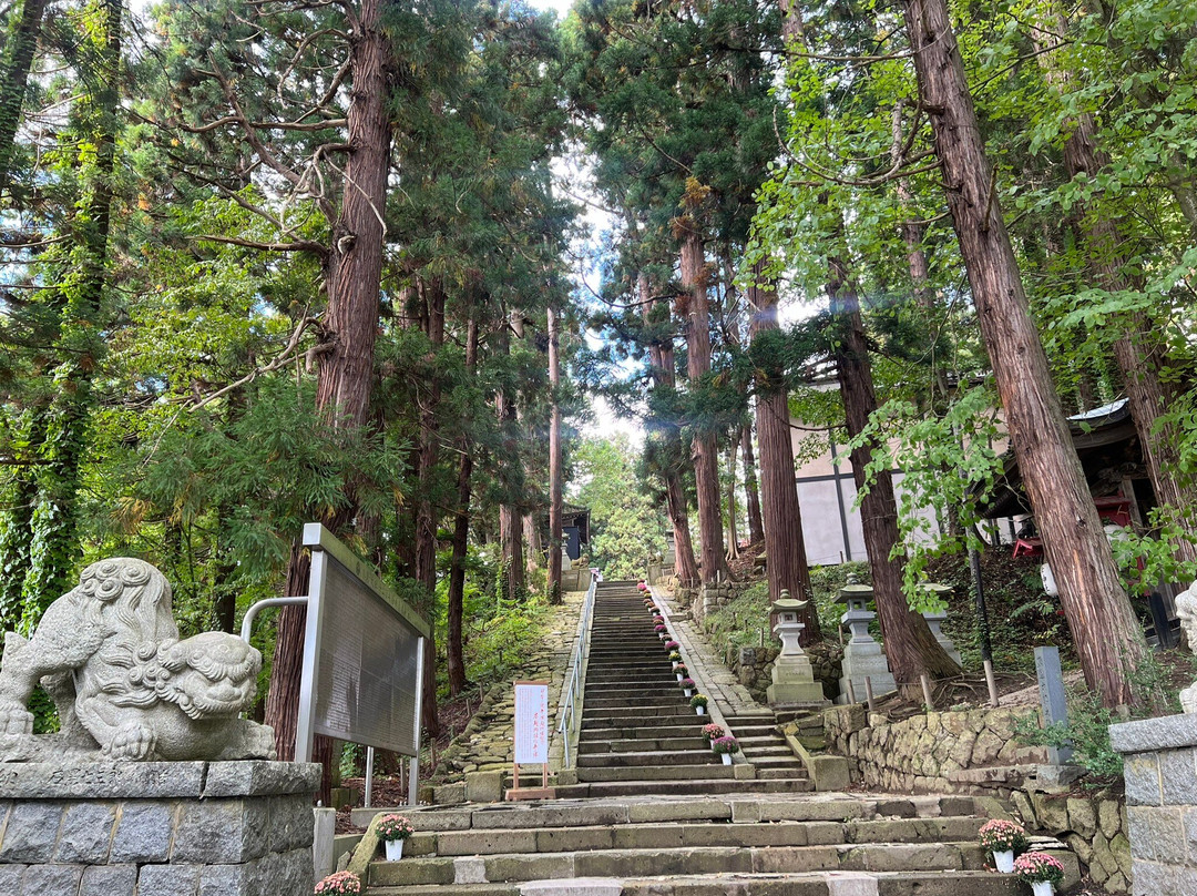 Kumano Taisha Shrine-南阳市必去景点