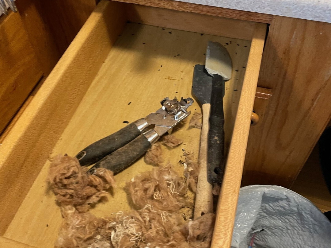 Briar Patch Bed & Breakfast Inn主图