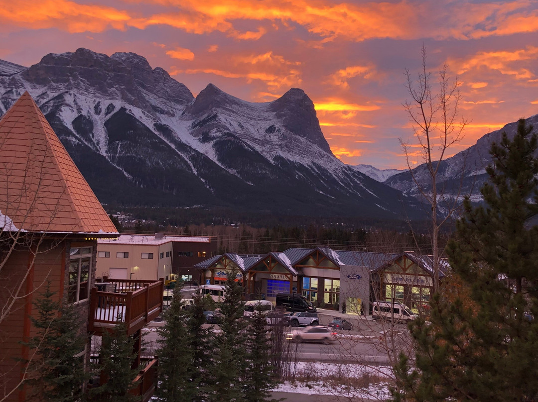 鹰冠山林小屋酒店主图