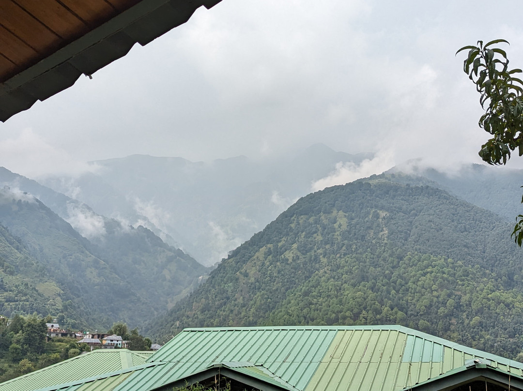 Araiya Palampur主图