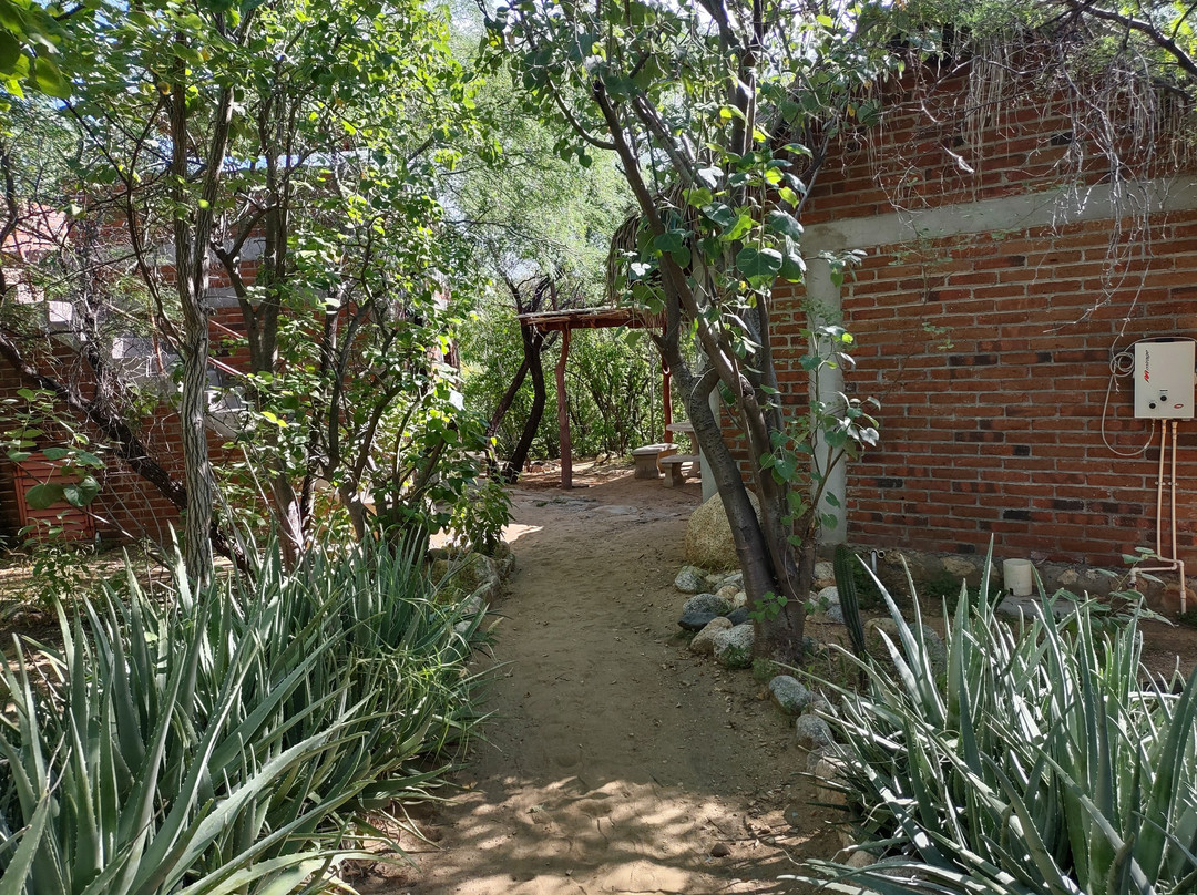 Rancho Ecologico Sol de Mayo景点图片