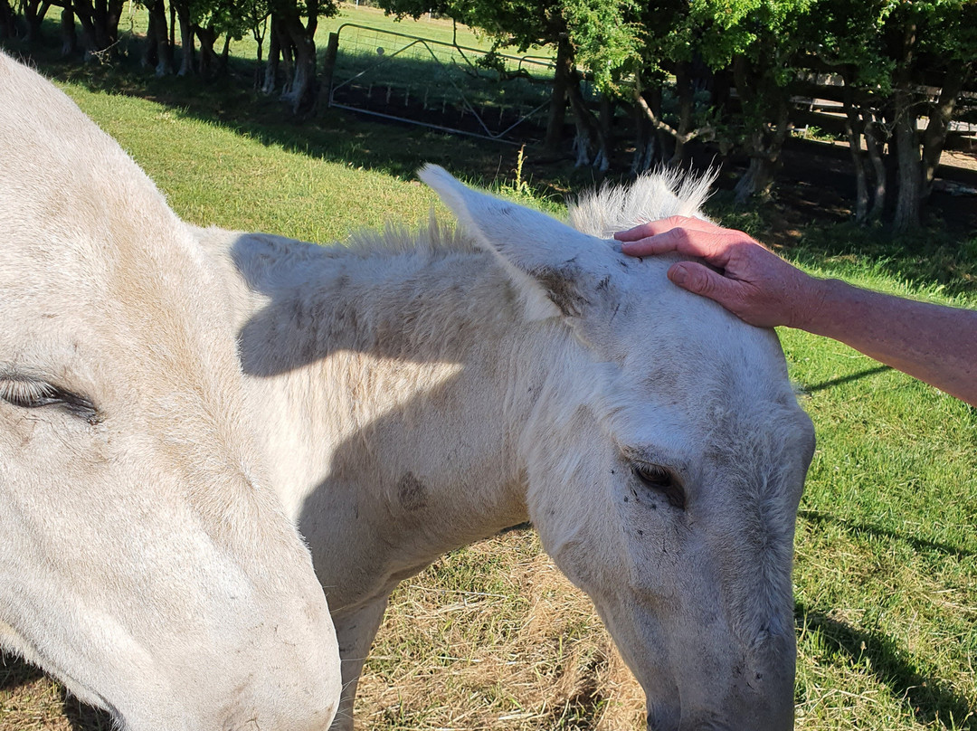 Brickendon Estate主图