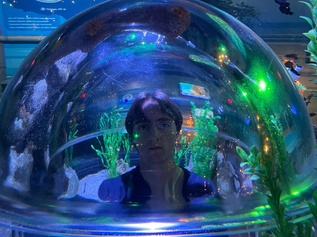 SEA LIFE Arizona Aquarium-坦佩必去景点