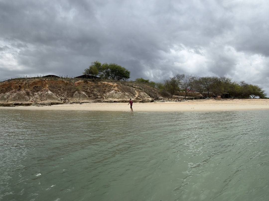 Casa Cactus Praia主图