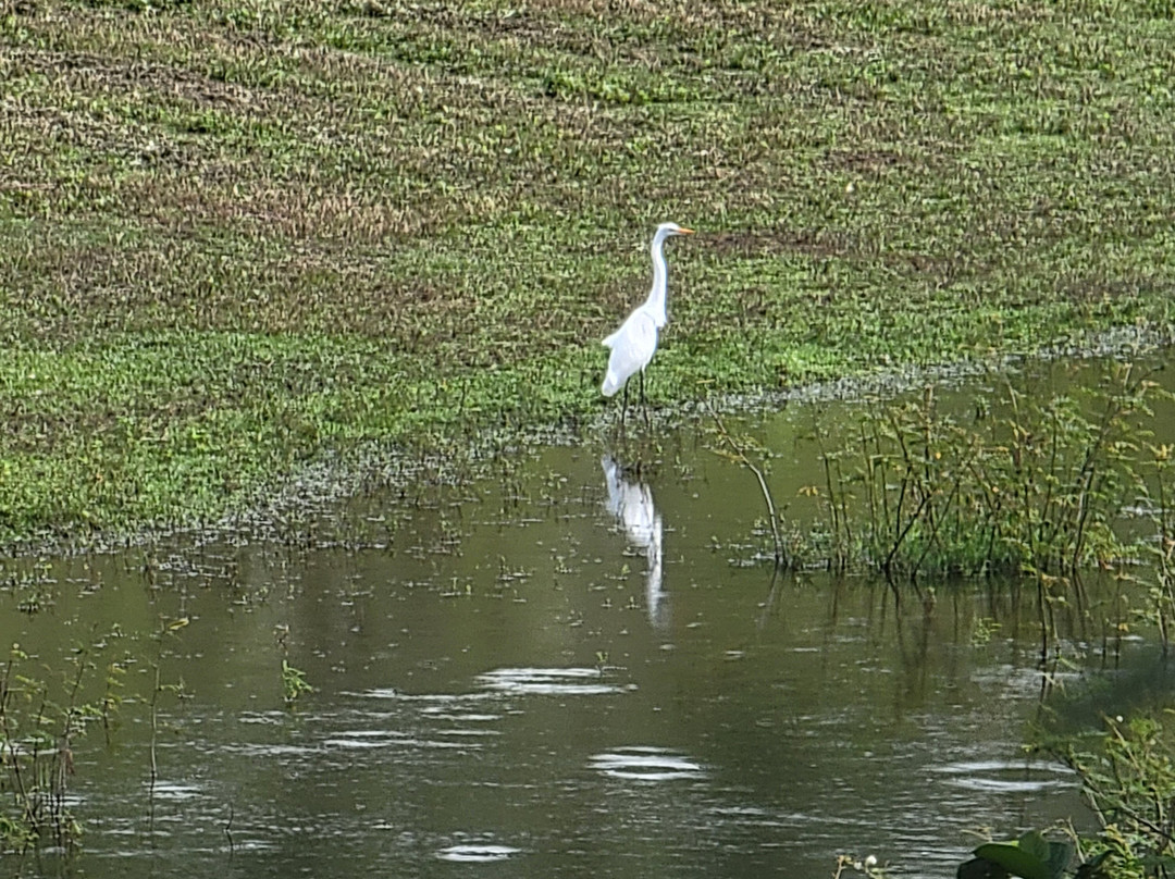 Rancho Primavera主图