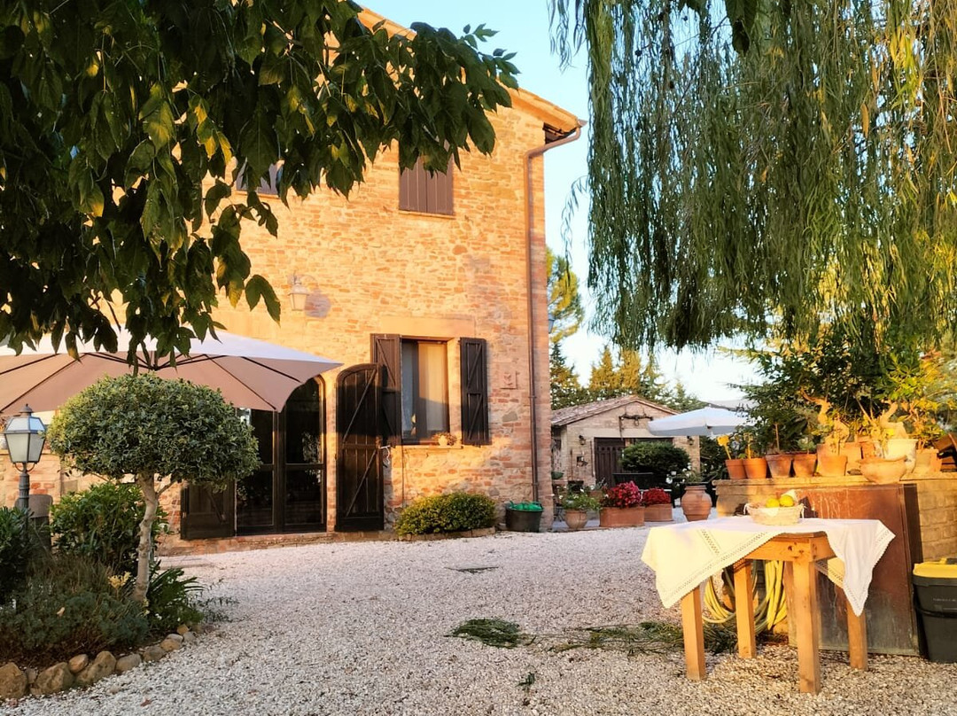Antica Fattoria del Colle主图