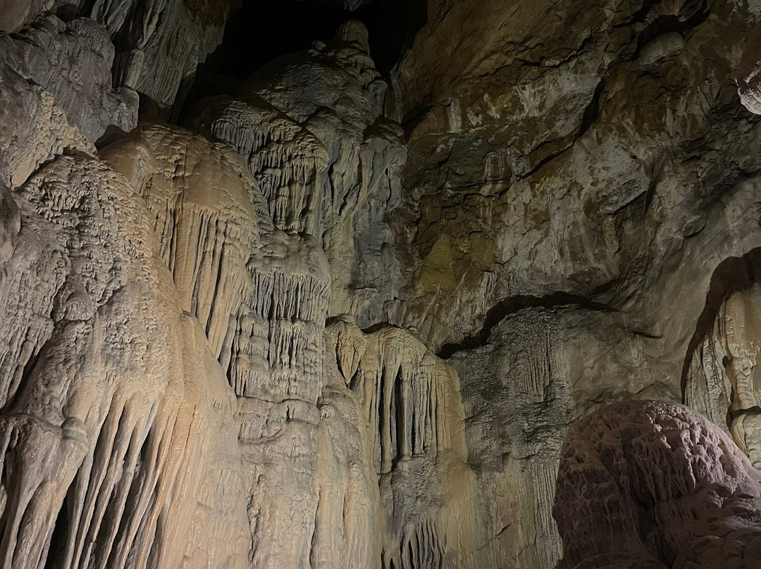 Cueva de las Güixas景点图片