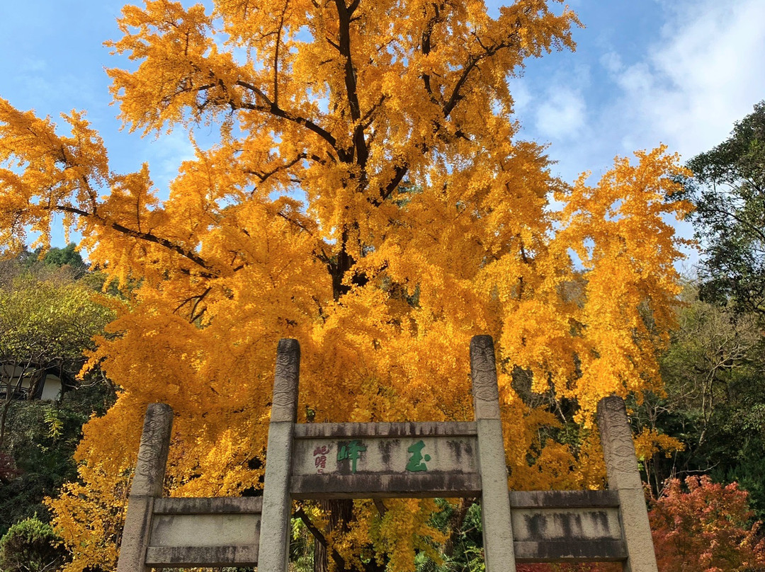 亭林园-昆山市必去景点