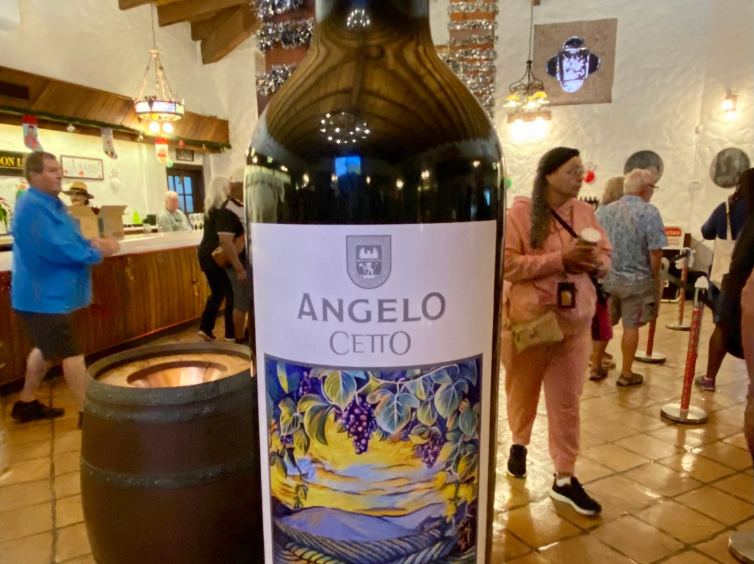 Bajarama Day Tours-恩塞纳达必去景点