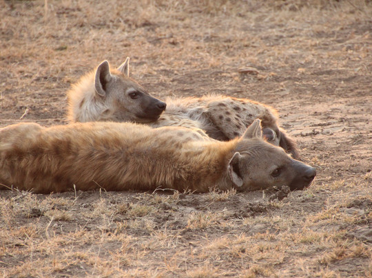 Matukio Adventures Tanzania-阿鲁沙必去景点