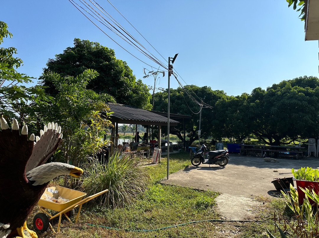 Go Bee Fishing Park景点图片
