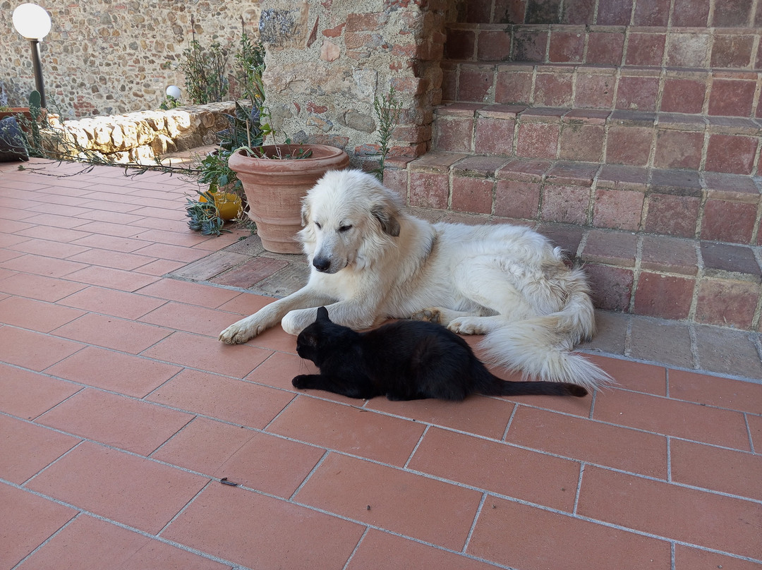 La Rocca delle Pigne主图