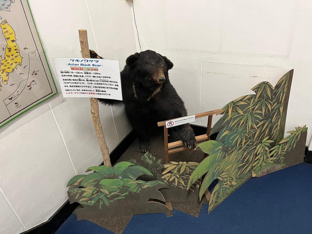 Tsuyama Nature & Mystery Museum-津山市必去景点