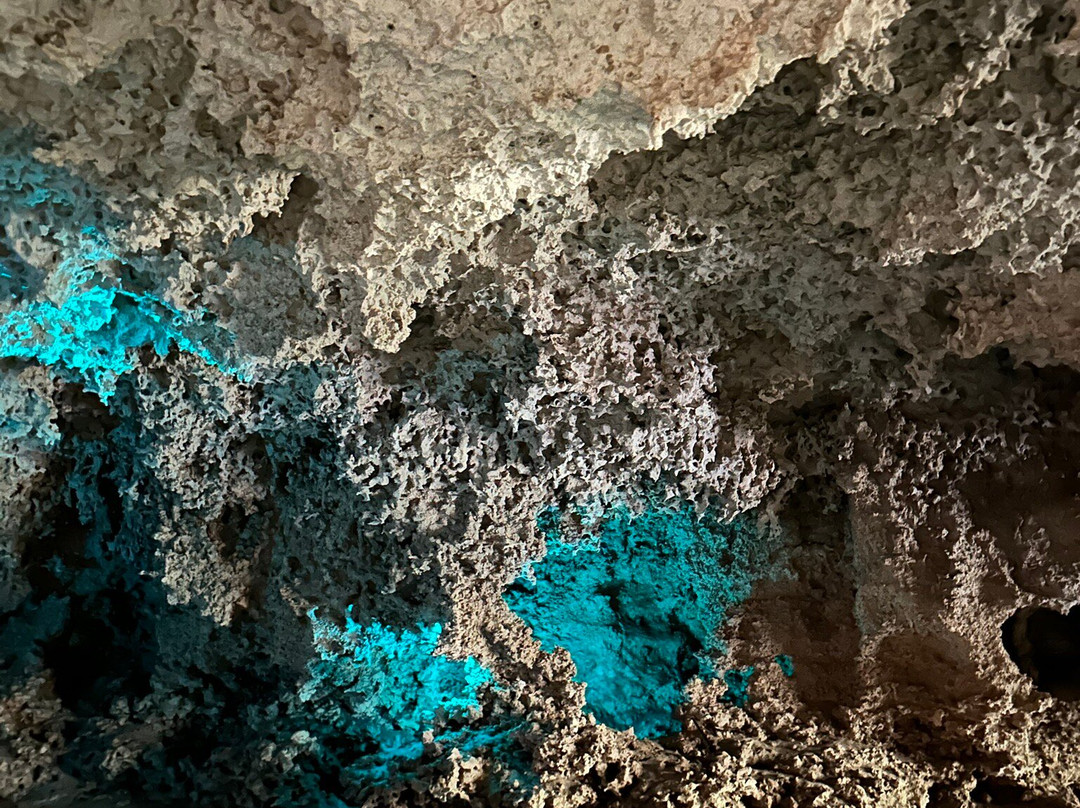 Sukun Rivera Maya Tours-图伦必去景点