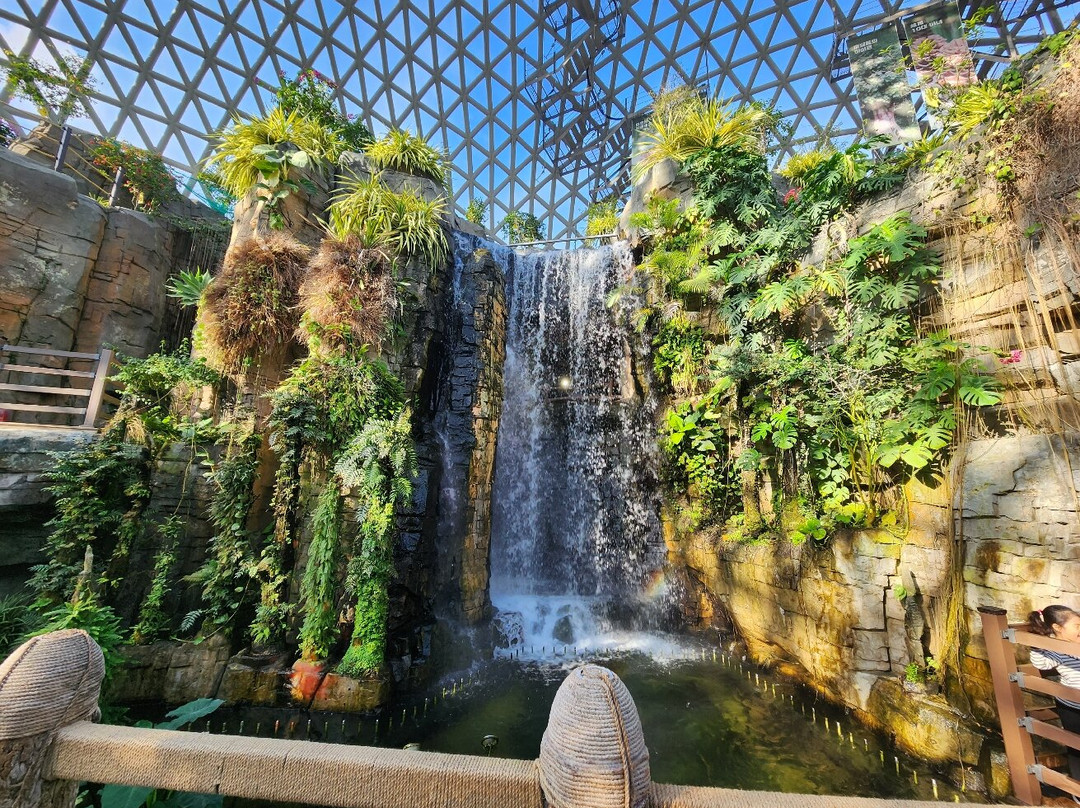 Geoje Botanic Garden Jungle Dome-巨济市必去景点