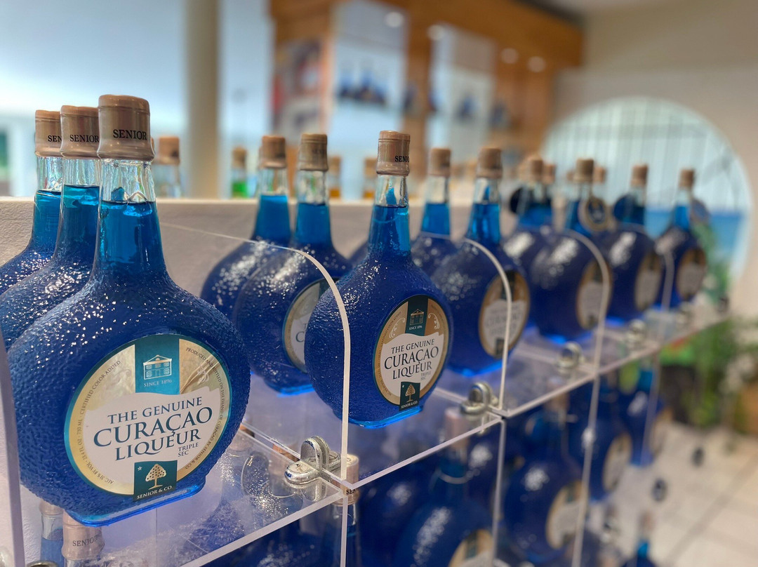 Landhuis Chobolobo-威廉斯塔德必去景点