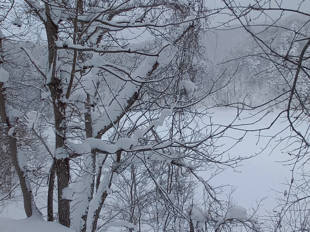 Niseko Snowshoe Tours-俱知安町必去景点