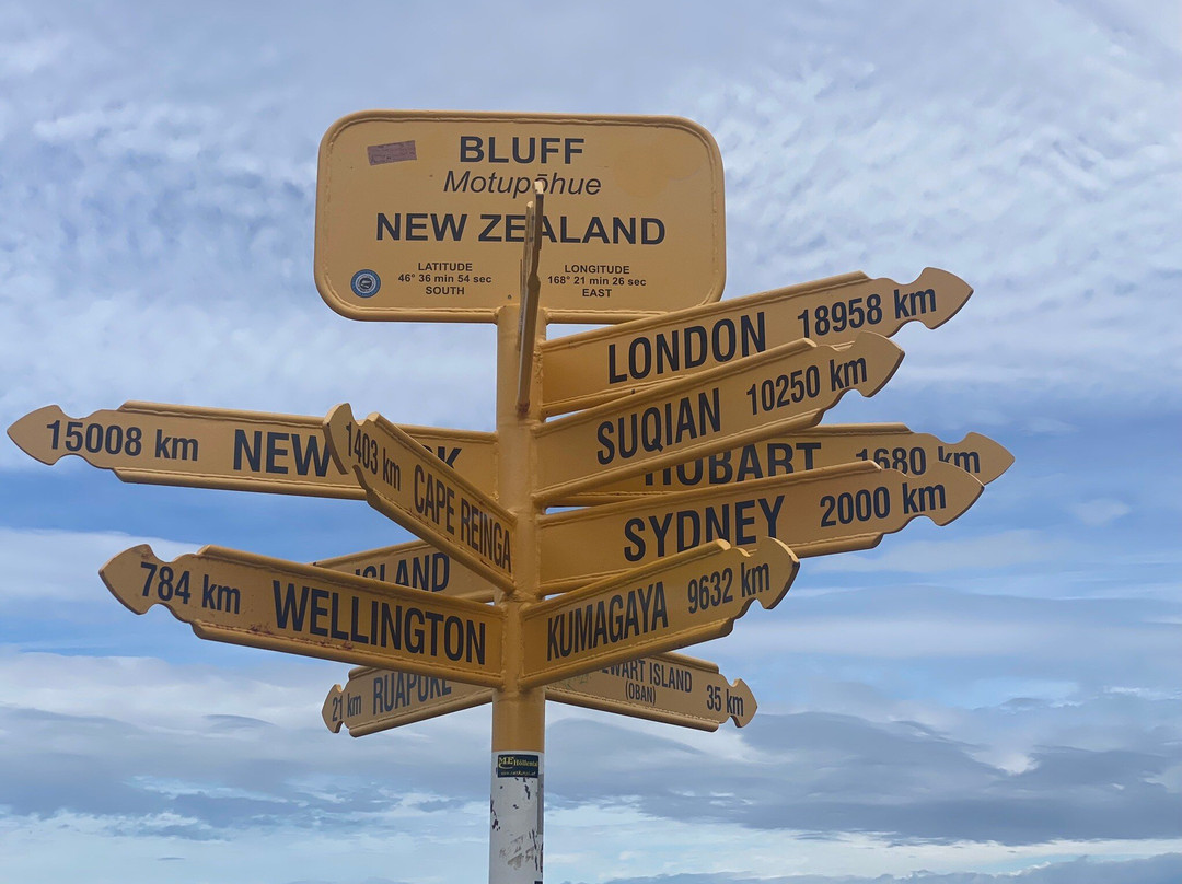 Signpost景点图片
