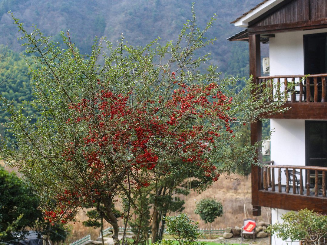 Mountainside