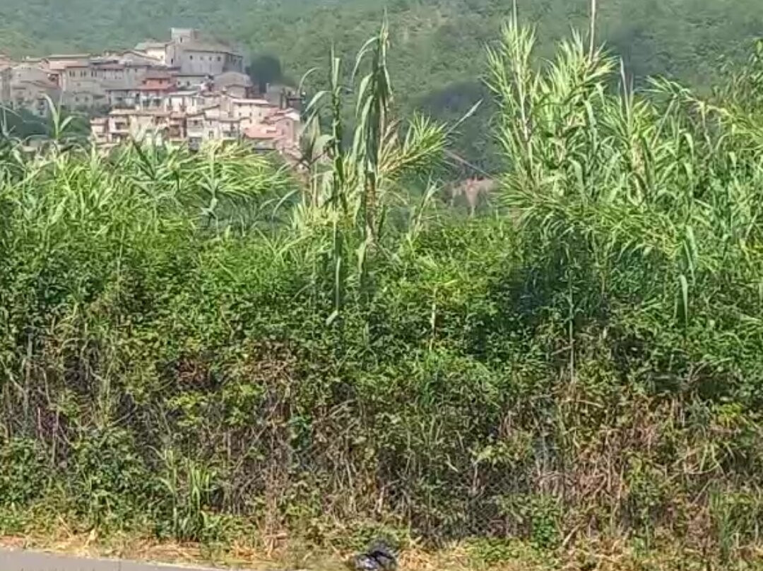 Ninfeo degli Orsini-Licenza必去景点