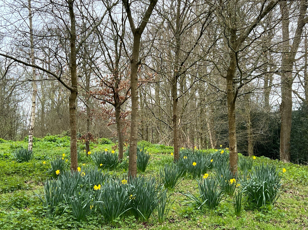 Chorleywood House Estate-Chorleywood必去景点