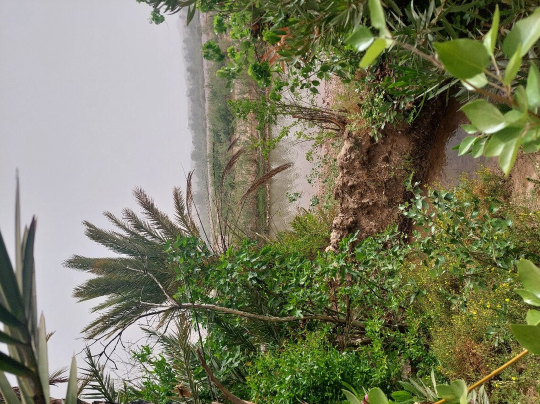 Kasbah Les Nomades主图