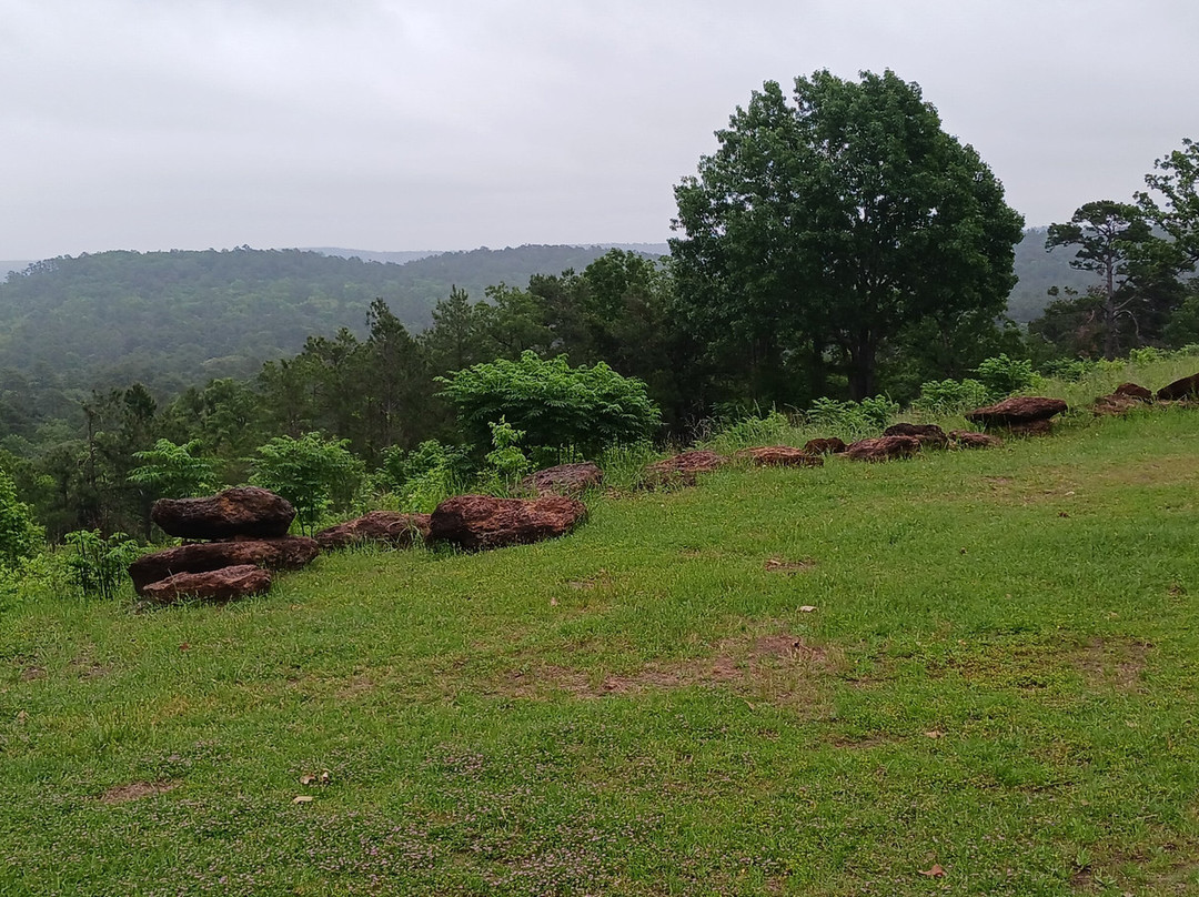 New York Texas Zipline Adventures-Larue必去景点