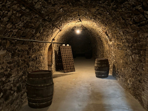 Instants - Exclusive Champagne Tours-兰斯必去景点