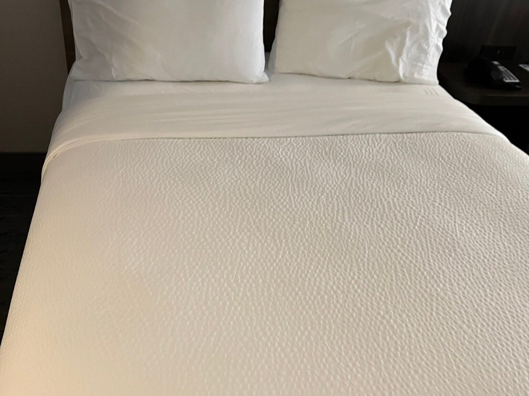 弗里波特快捷假日&套房酒店主图