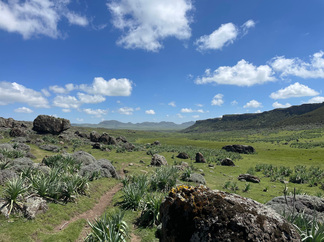 Bale Mountains Eco Tours Ethiopia景点图片