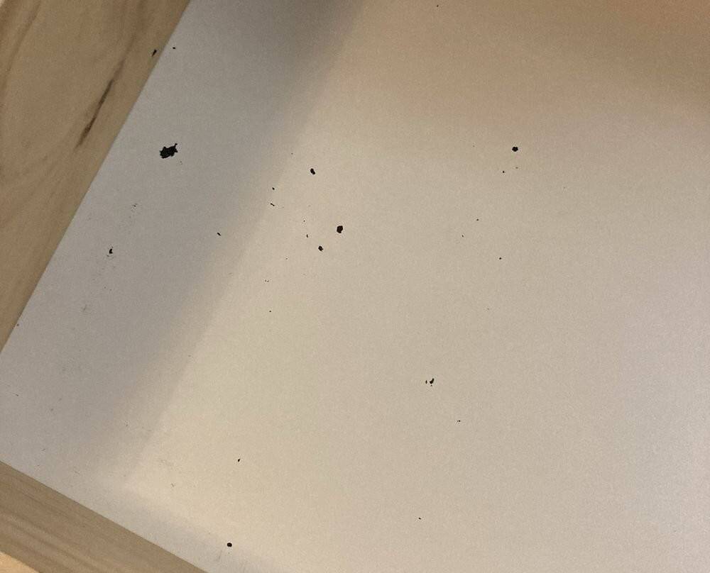 Courtyard by Marriott Paducah主图