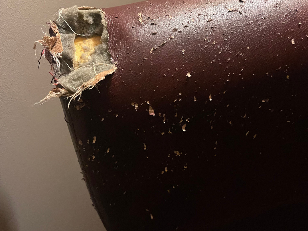 Red Roof Inn Acworth - Emerson/ LakePoint South主图