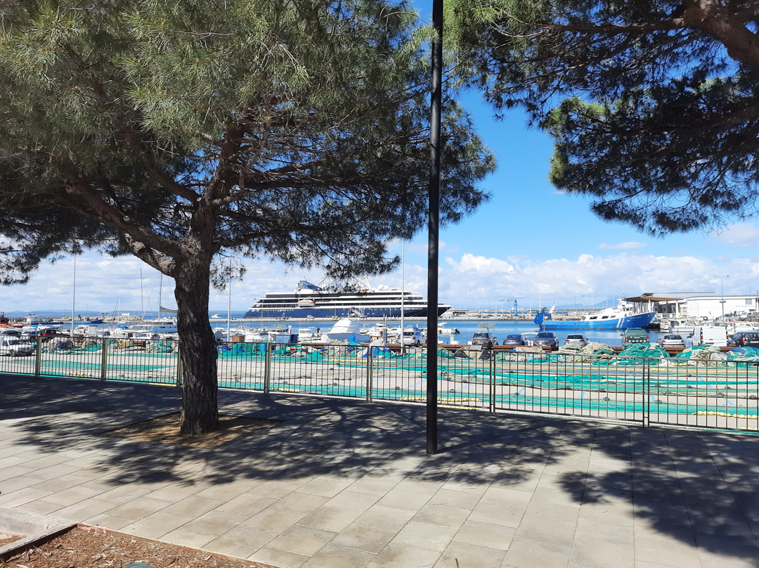 Passeig Marítim景点图片
