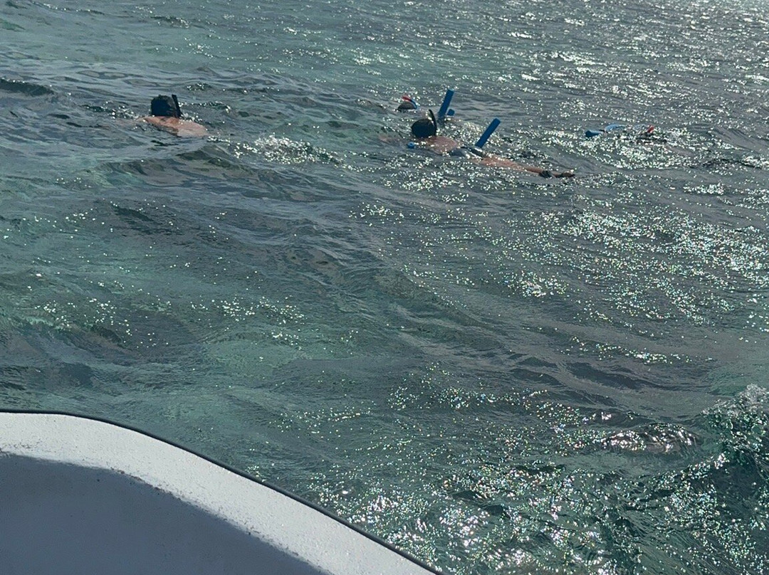 Manoa Tours, Watersports Day Tours-Si'umu必去景点
