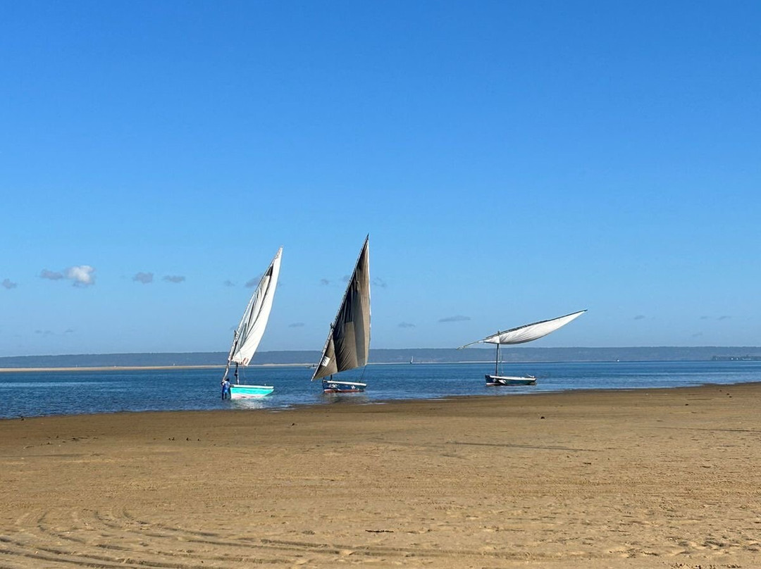 Kape Kape Tours-托佛必去景点