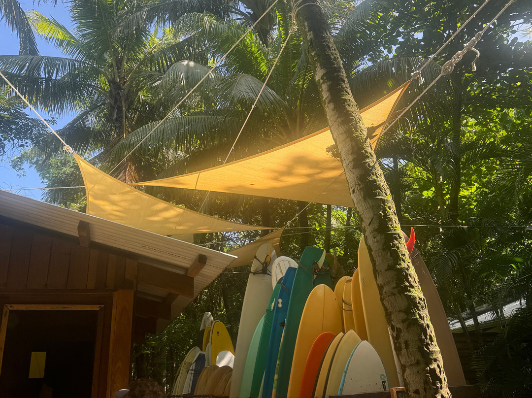 The Harmony Hotel主图