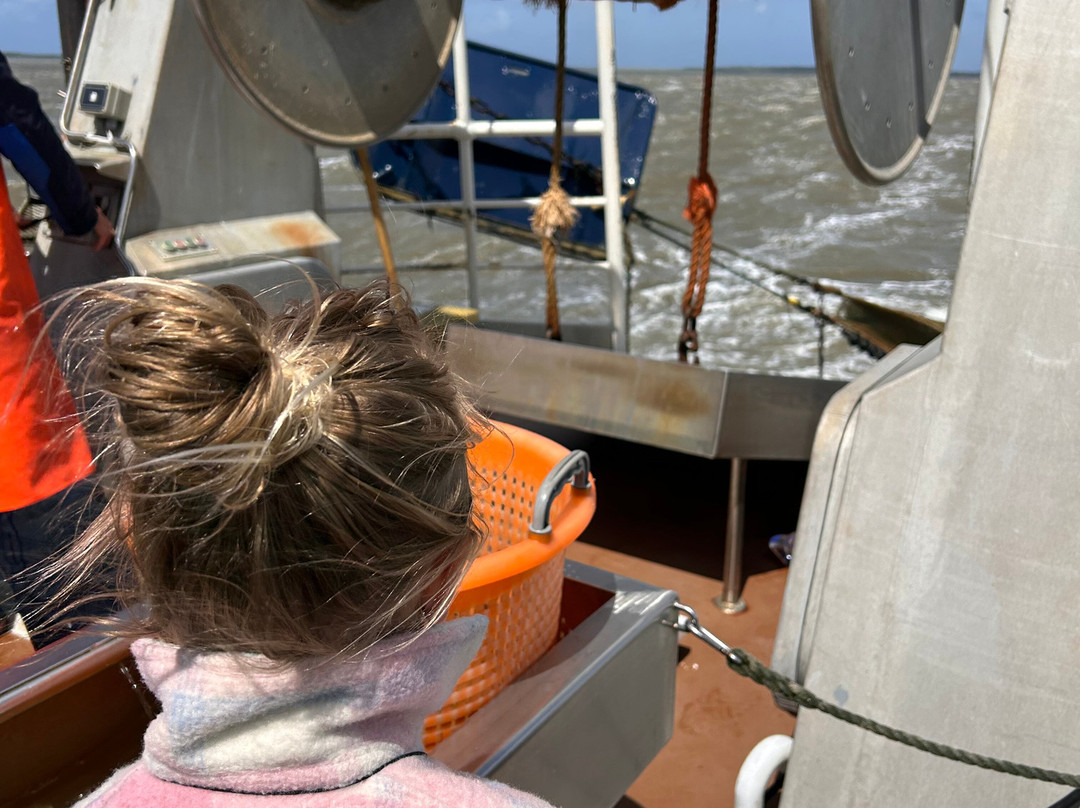 Expeditie Waddenzee景点图片