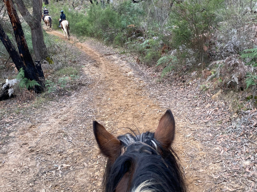 Spring Creek Horse Rides-贝尔布拉必去景点