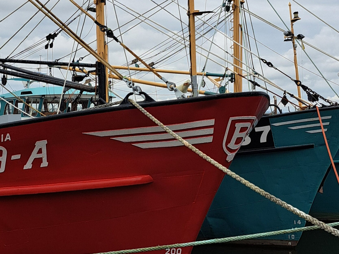 Wexford Harbour-韦克斯福德必去景点