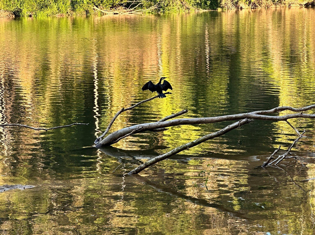 Kuranda Heritage Markets-库兰达必去景点