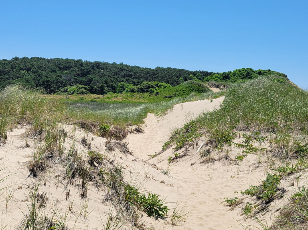 Great Island Trail景点图片