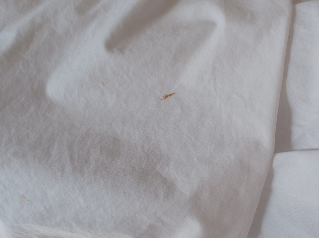 Hampton Inn North Myrtle Beach-Harbourgate主图