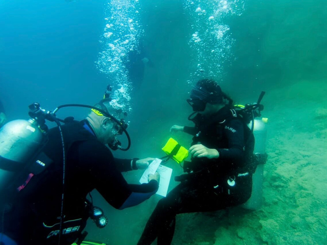 Ohana Dive Co.景点图片