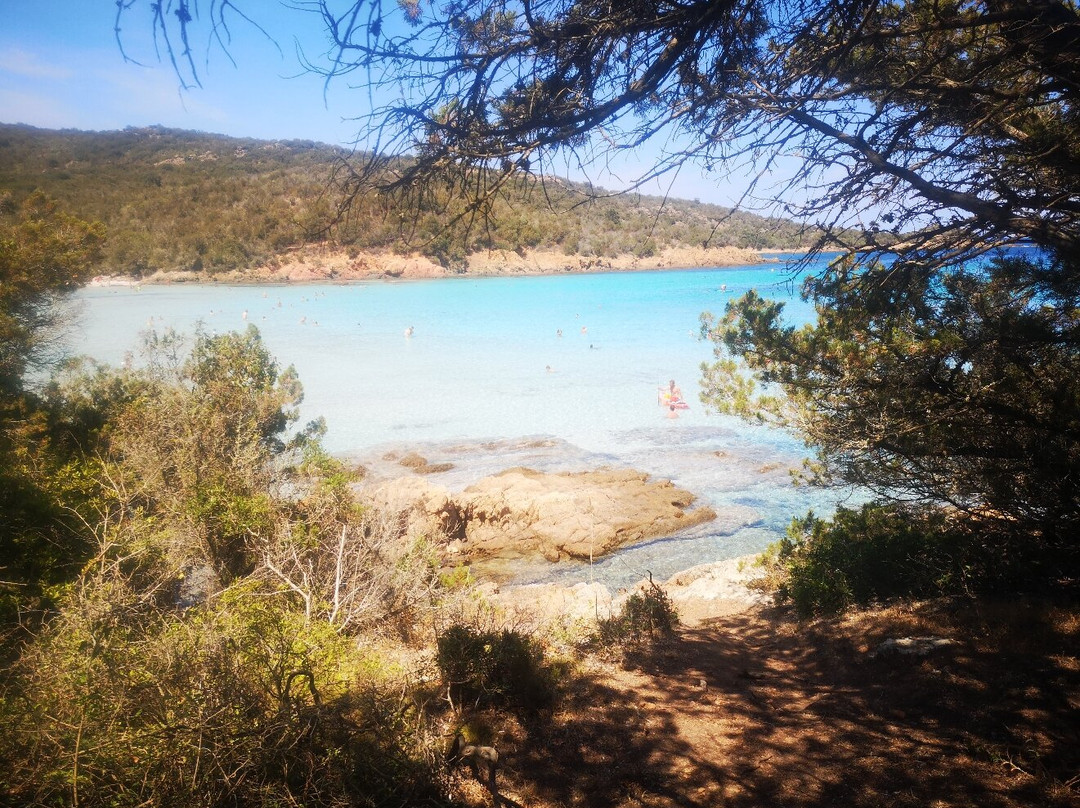 Plage de Carataggio-维琪奥港必去景点