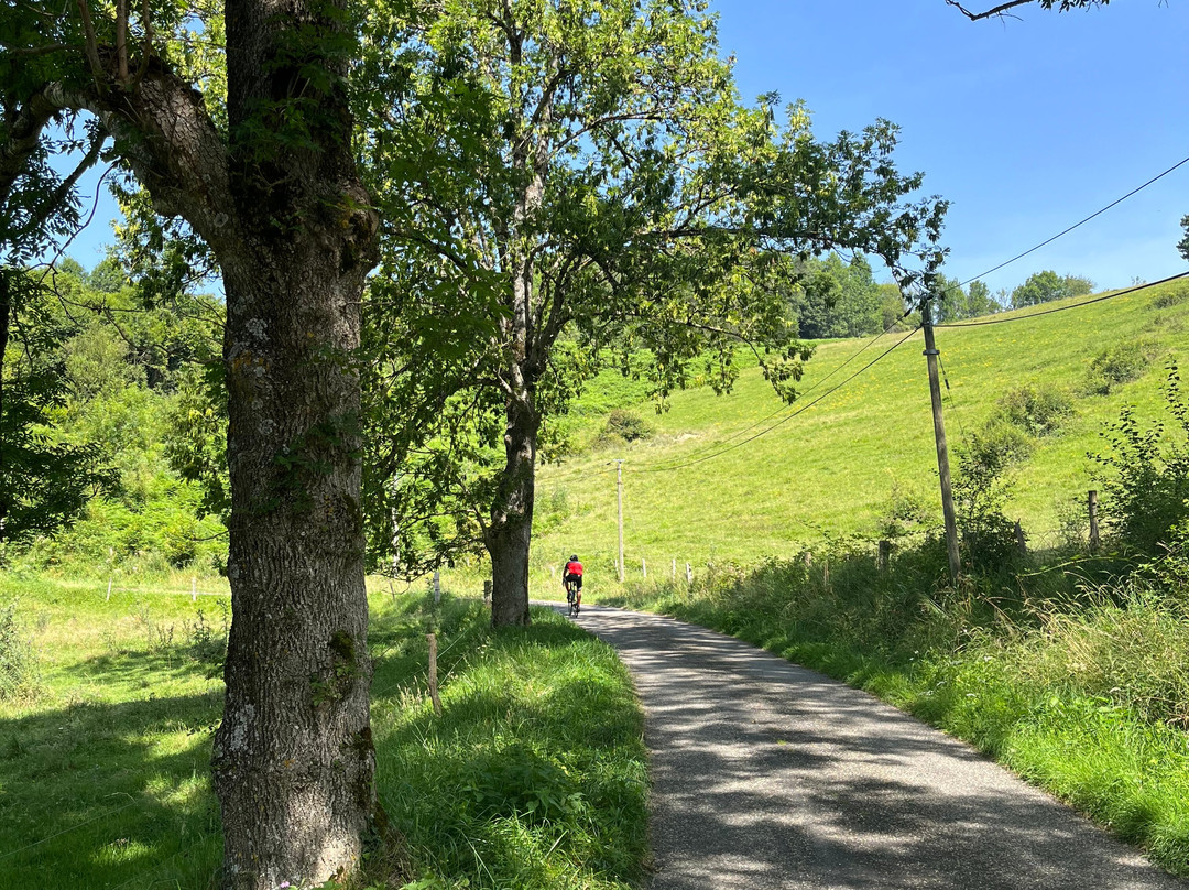 Velomondo Bike Hire Pyrenees-Leran必去景点