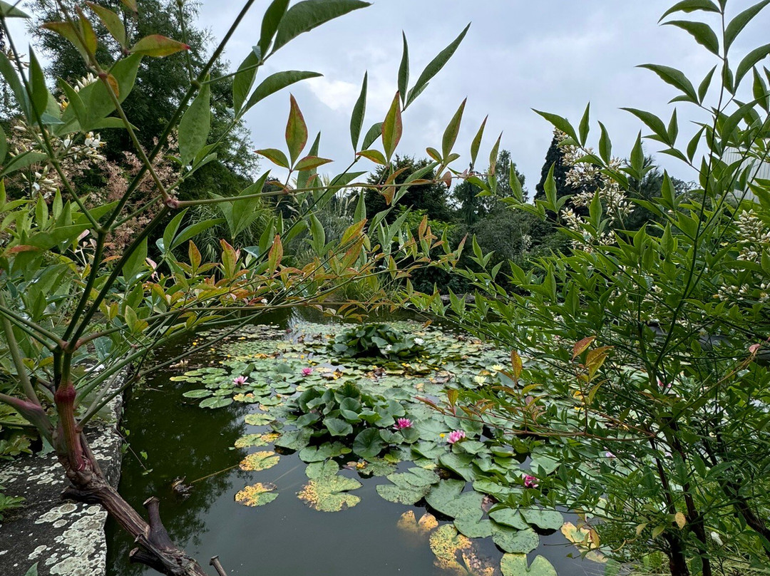 Botanicka Zahrada景点图片