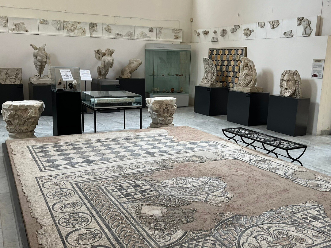 Musée d'art et d'histoire景点图片