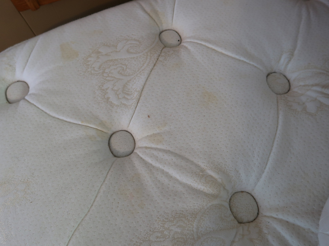 Algonquin Motel主图