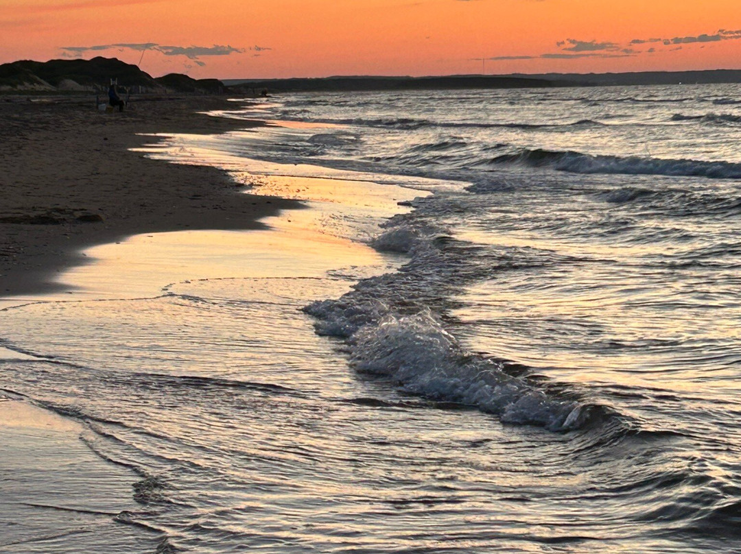 罗斯文布莱克利海滩公寓式酒店主图