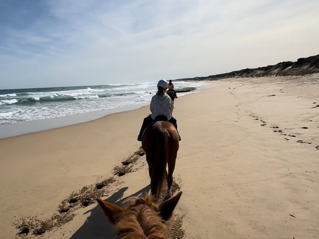 Gunnamatta Trail Rides景点图片